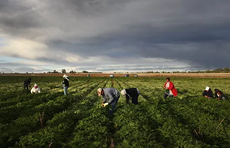 Agricultural workers