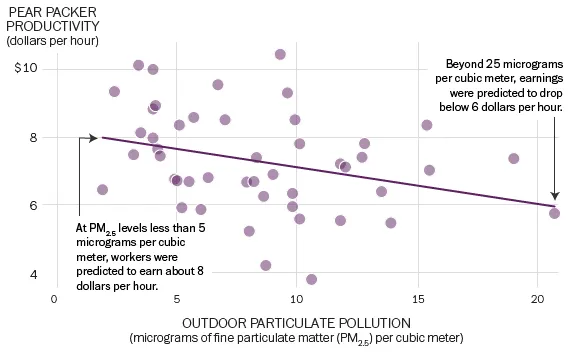 Particulate pollution and worker productivity 
