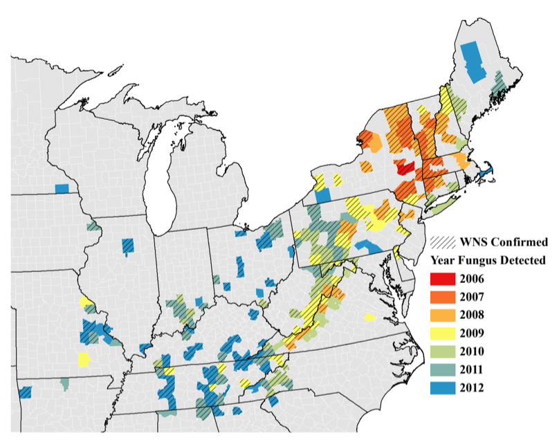 Map of White Nose Syndrome